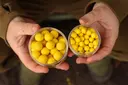 NIKL Plovoucí boilies CORN