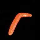Iron trout baco
