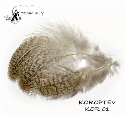 KOROPTEV - HŘBETNÍ PEŘÍ