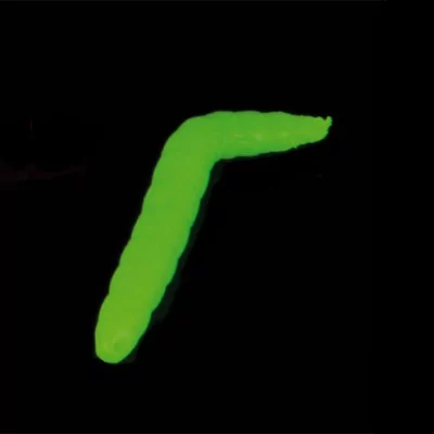 Iron trout baco Green