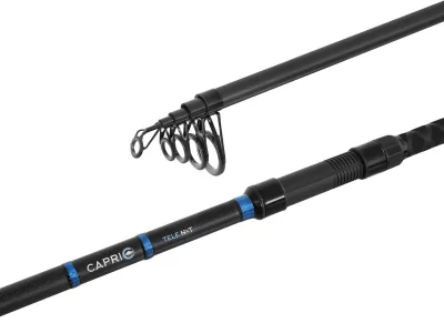 Delphin CAPRI Tele NXT 330cm 120g
